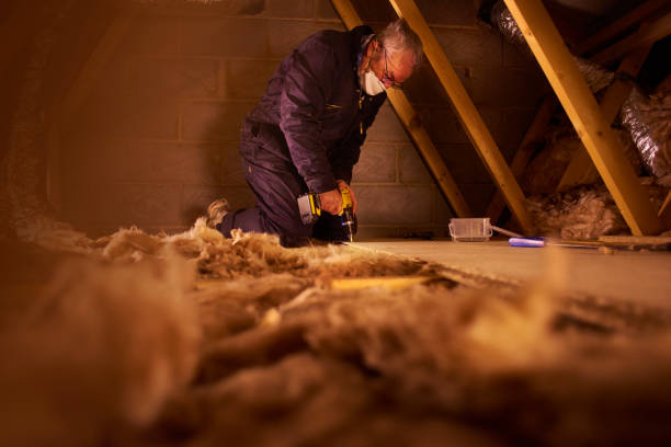 Best Energy-efficient Insulation  in Melrose Park, NY